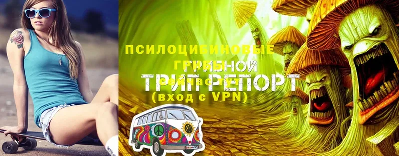 Псилоцибиновые грибы Magic Shrooms  Краснозаводск 